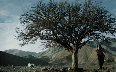 Mil pedazos: La propuesta visual de Eduardo Bunster ACC en una producción regional